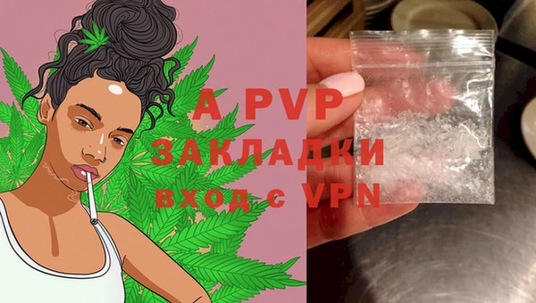 Альфа ПВП Аркадак