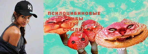 мяу мяу мука Арсеньев