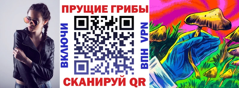 Псилоцибиновые грибы Psilocybe  как найти закладки  Майский 